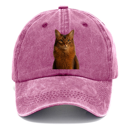 somali-cat-agile-grace Hat