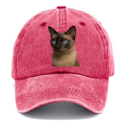 tonkinese-elegant-feline-charm Hat