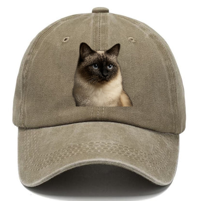 birman-cat-serene-elegance Hat