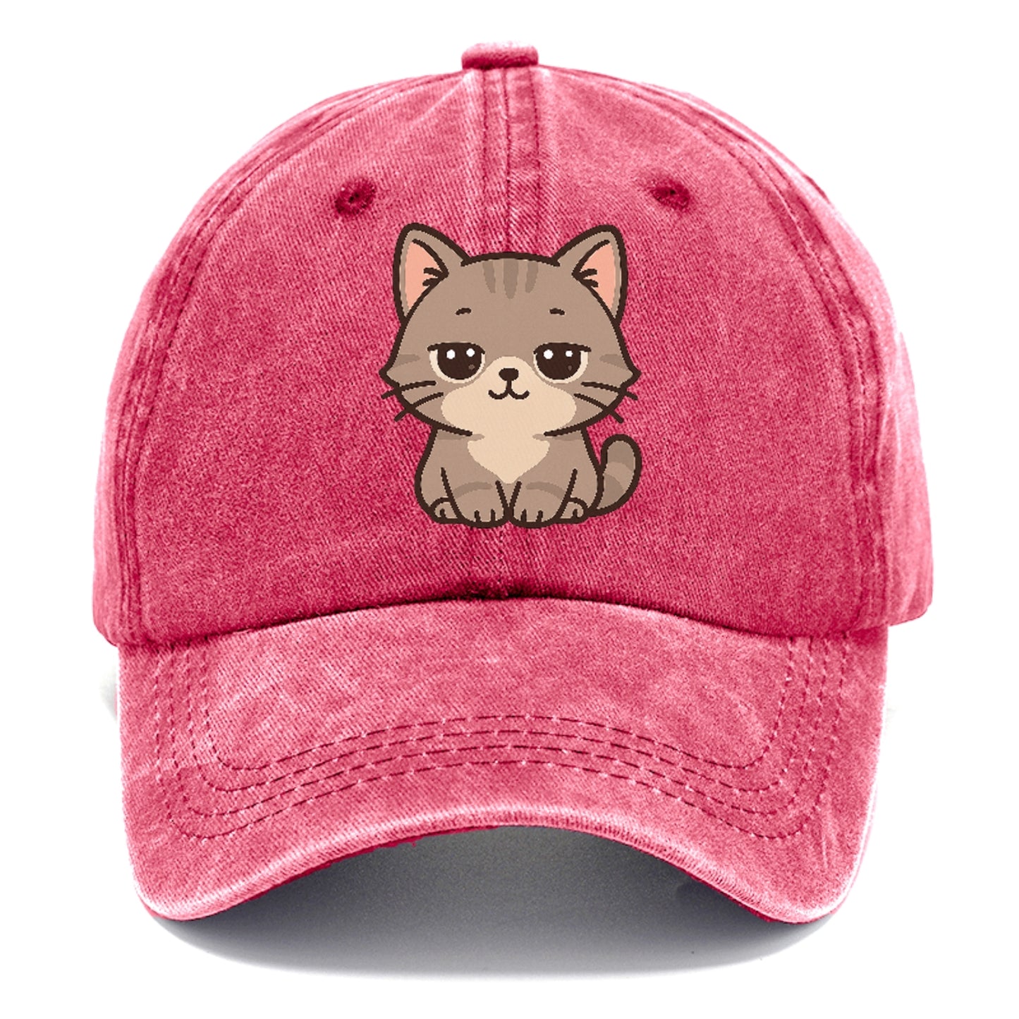 sleepy-cat-peaceful-slumber Hat