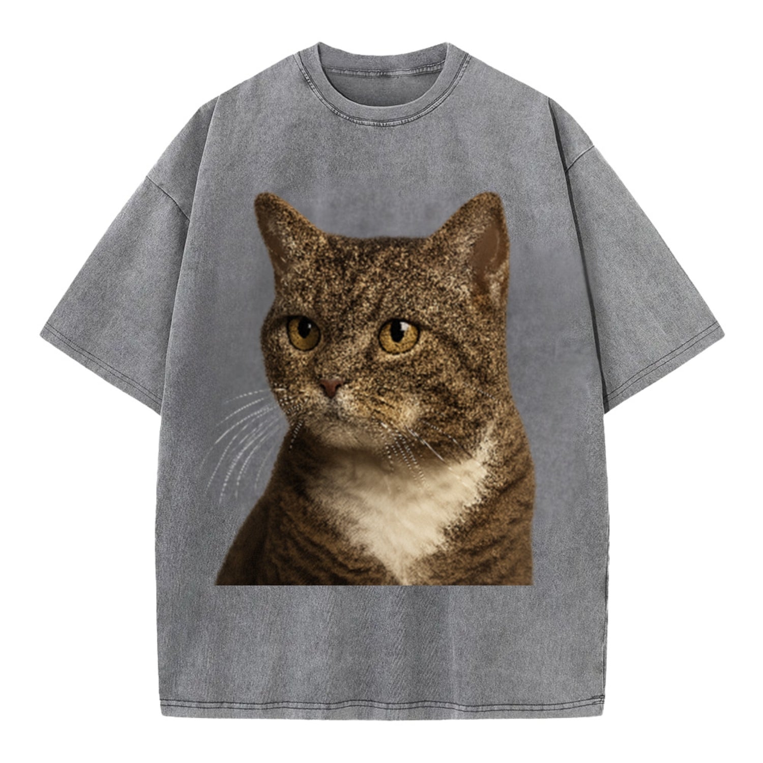 american-wirehair-unique-charm Hat