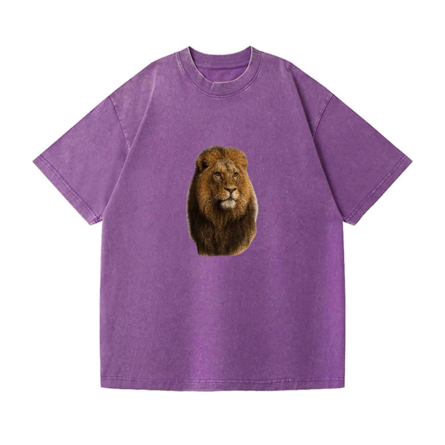 lion-regal-power Hat