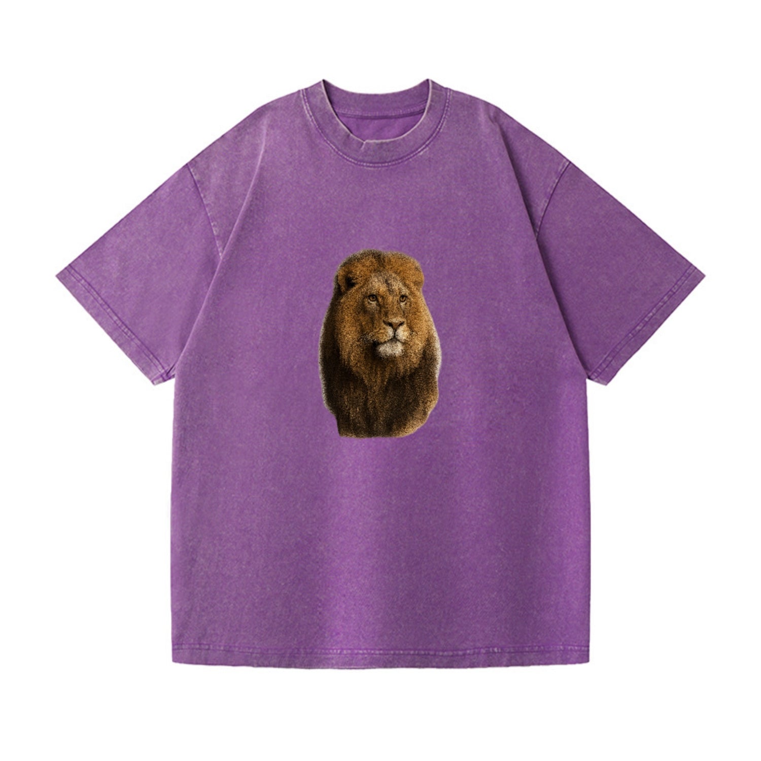 lion-regal-power Hat