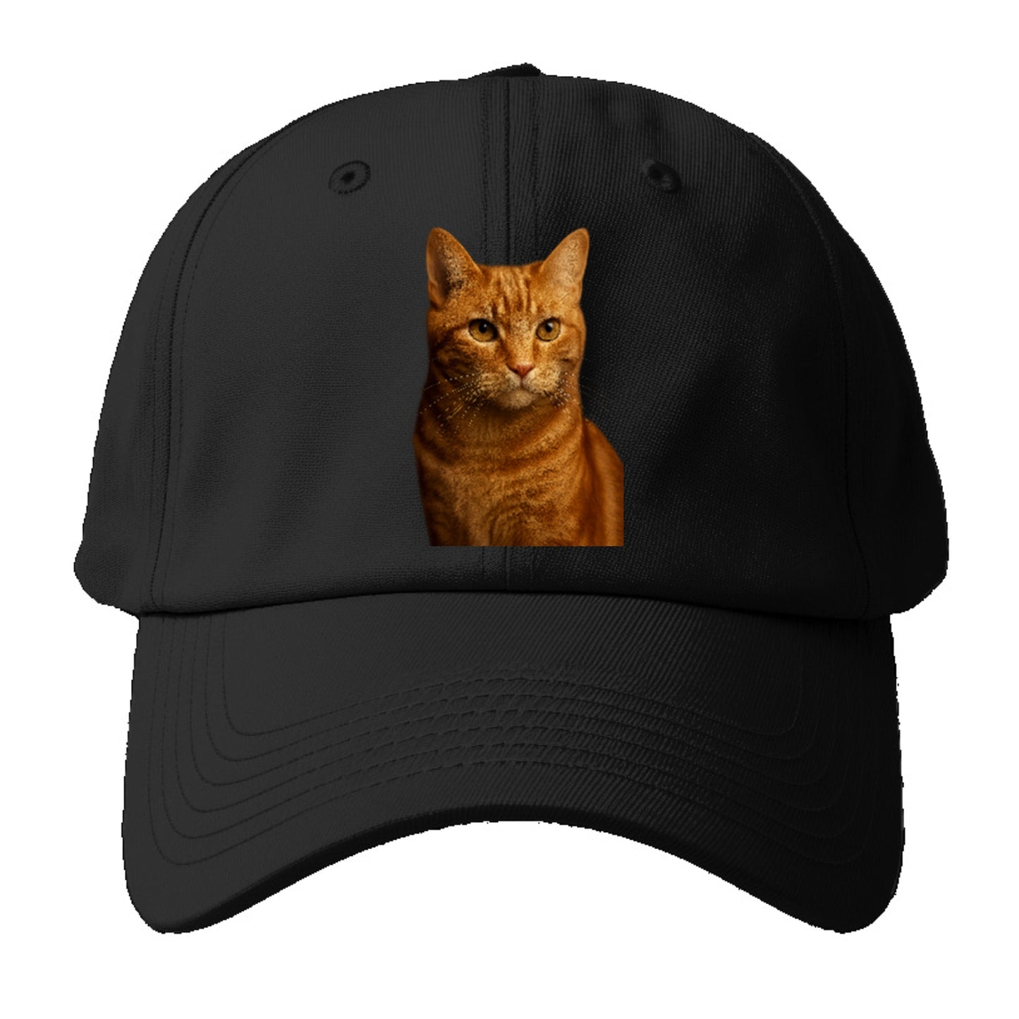 orange-tabby-playful-purr Hat
