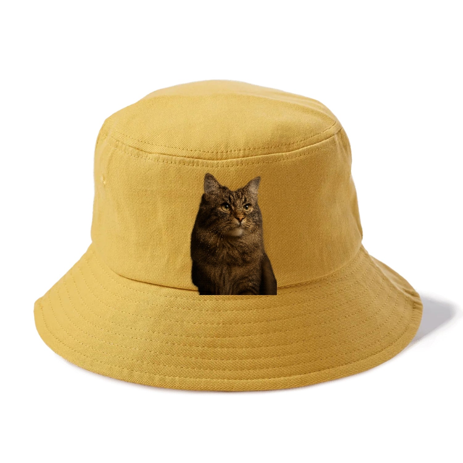 regal-cymric-charm Hat