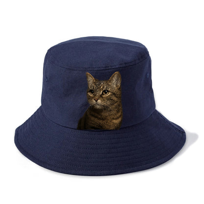 munchkin-cat-charming-spirit Hat