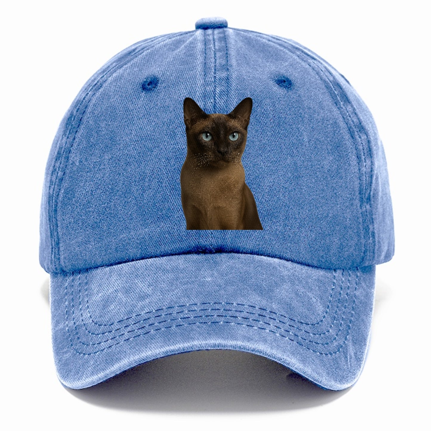 tonkinese-playful-spirit Hat