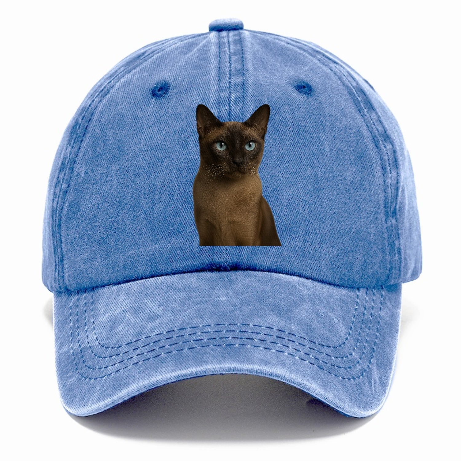 tonkinese-playful-spirit Hat