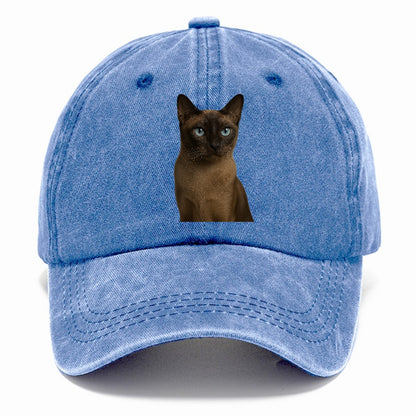 tonkinese-playful-spirit Hat