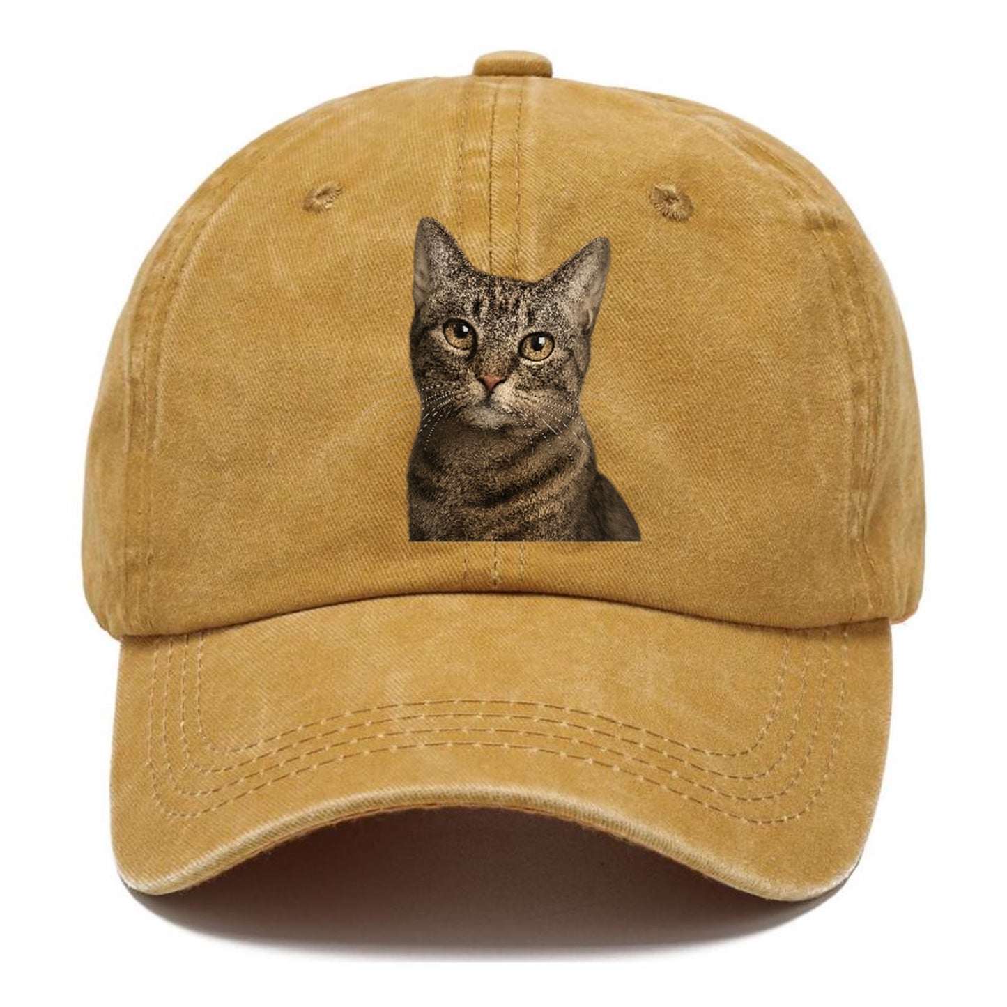 curious-cat-inquisitive-nature Hat
