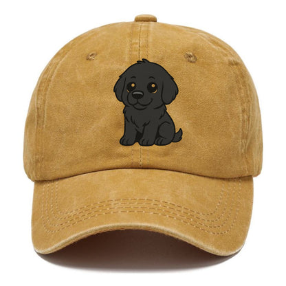 newfoundland black sitting pose with gentle giant expression portrait design Hat