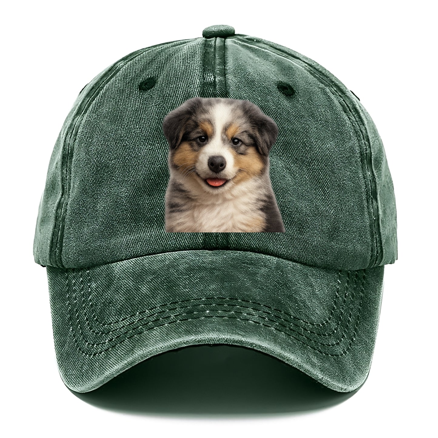 australian shepherd puppy portrait design Hat