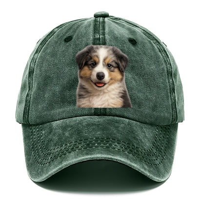 australian shepherd puppy portrait design Hat