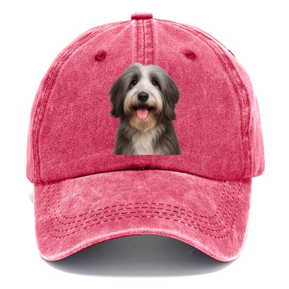 bearded collie: spirited, shaggy soul Hat