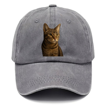 playful-cat-playful-spirit Hat