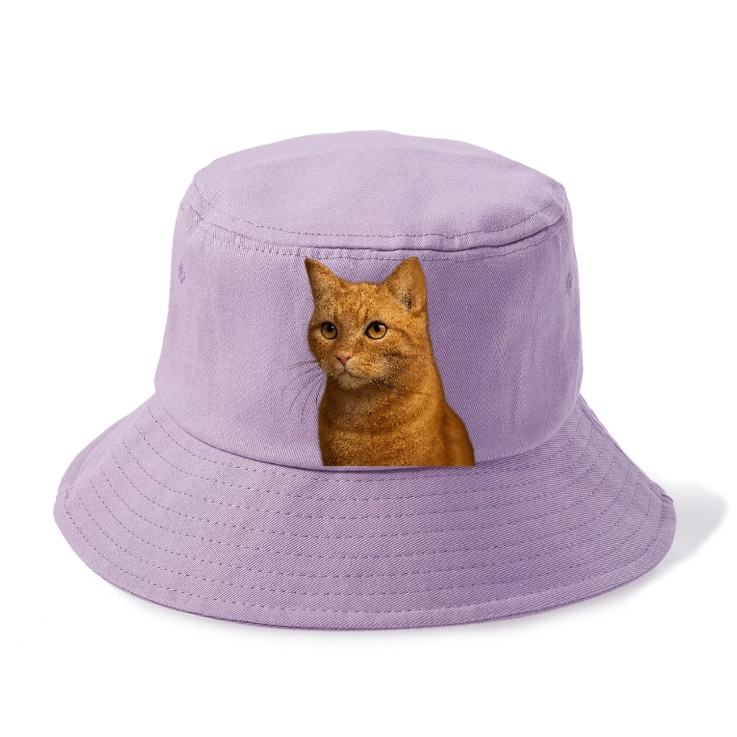 ginger-cat-playful-spirit Hat