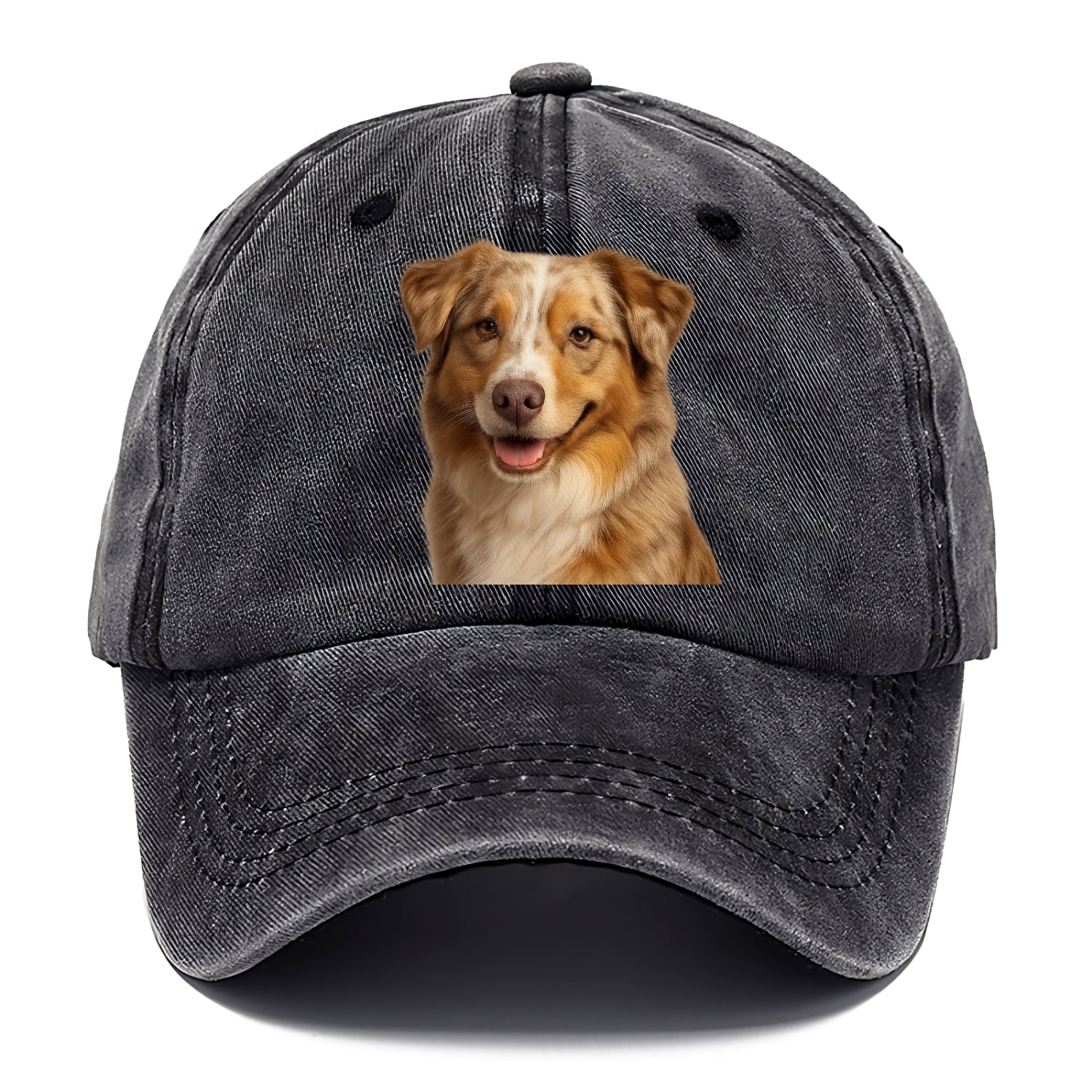 red merle australian shepherd portrait design Hat
