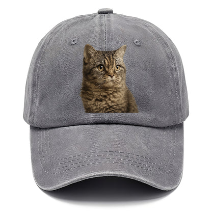 lambkin-sweet-gentle-spirit Hat