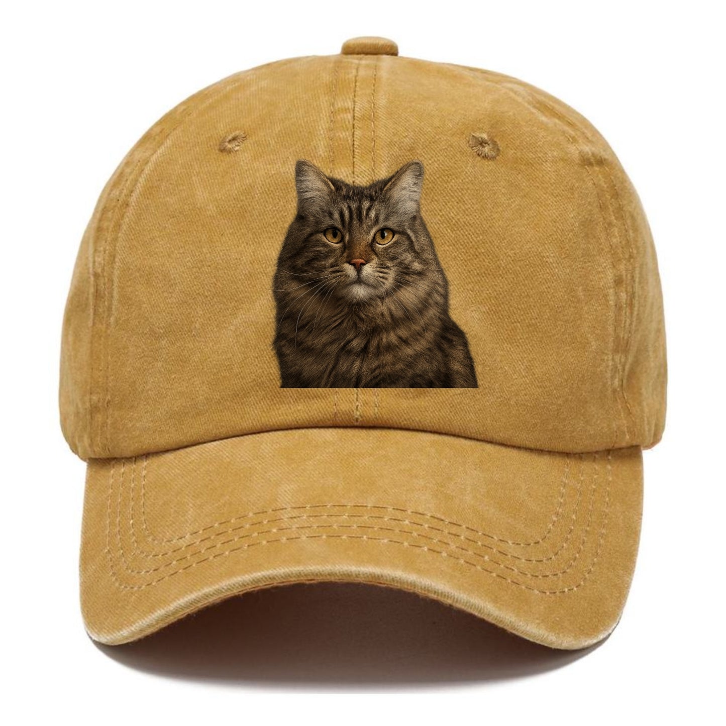 maine coon majestic feline Hat