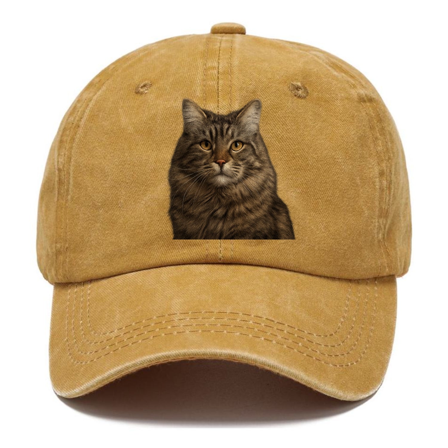 maine coon majestic feline Hat