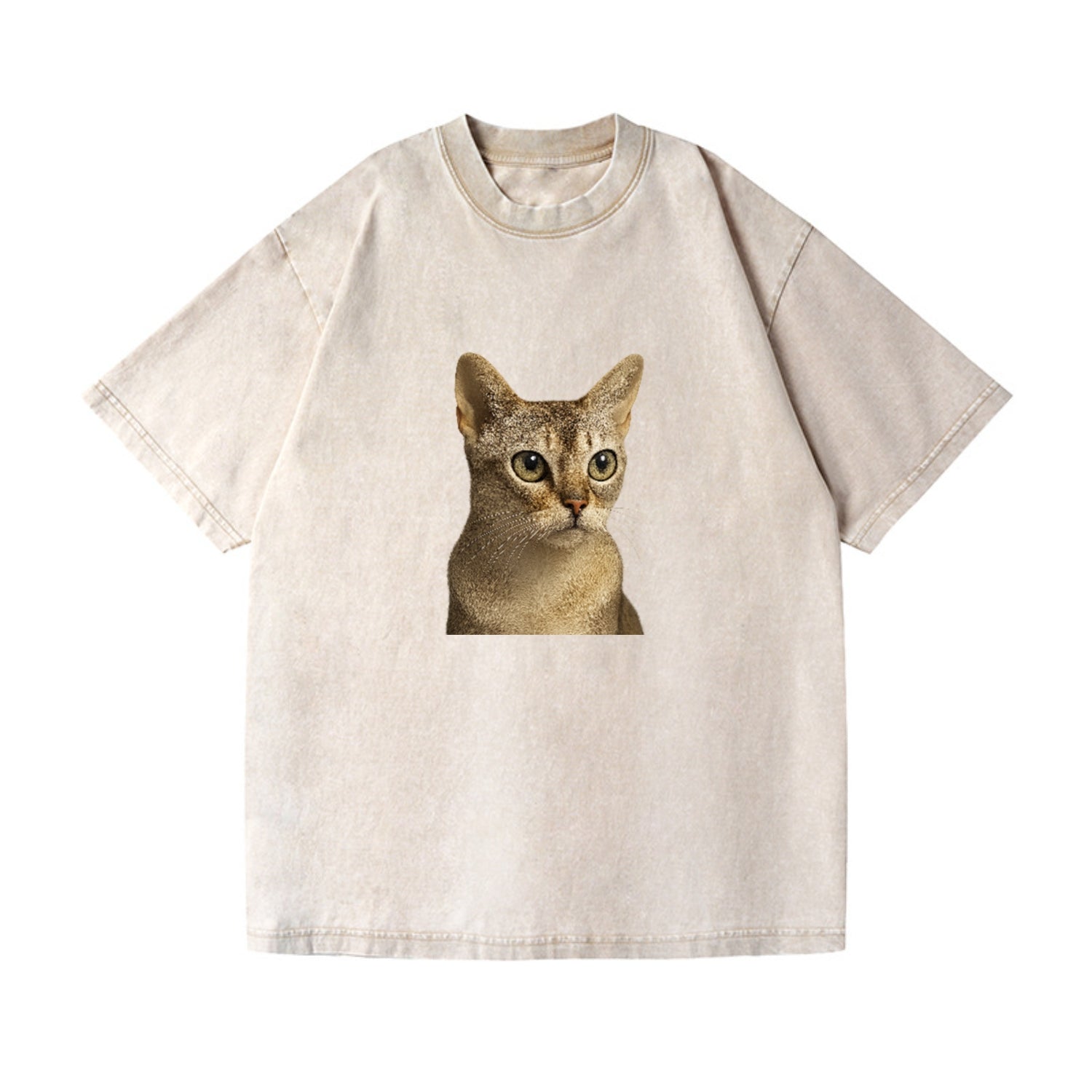 singapura-playful-spirit Hat