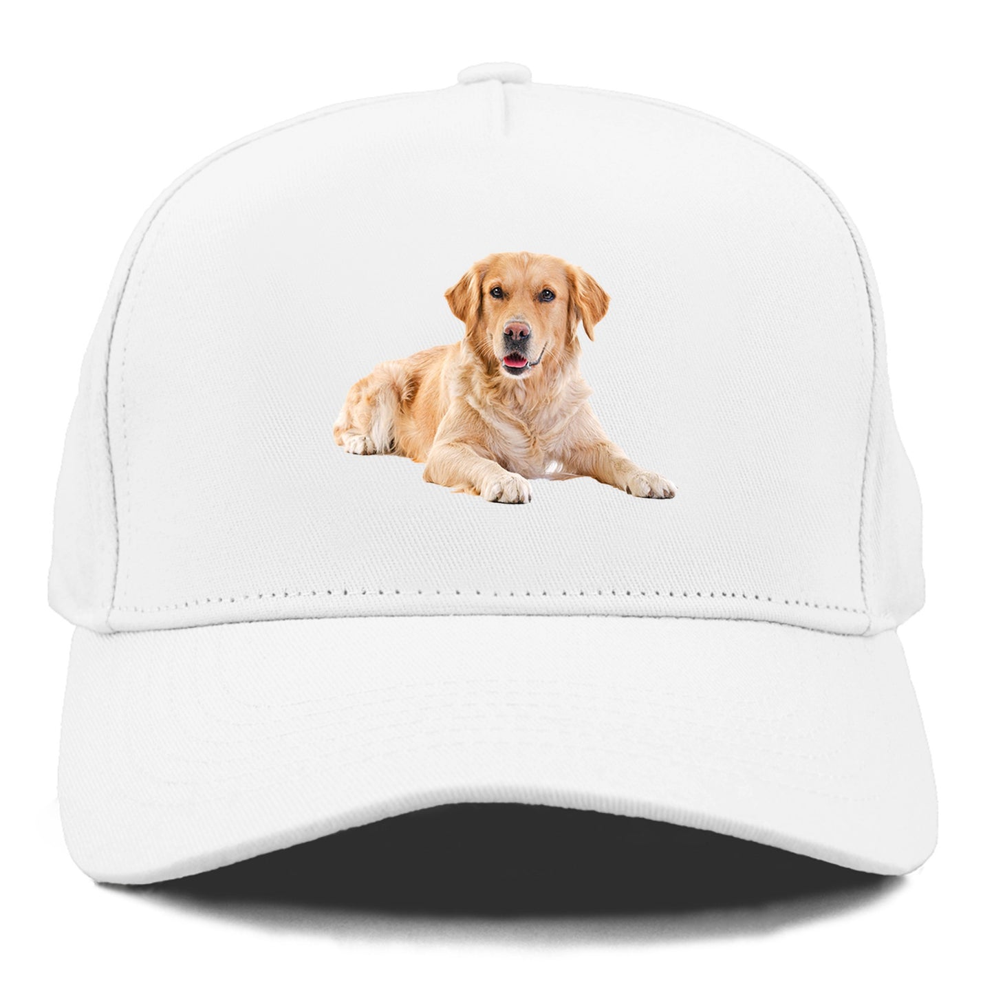 Golden Retriever laying dow Hat