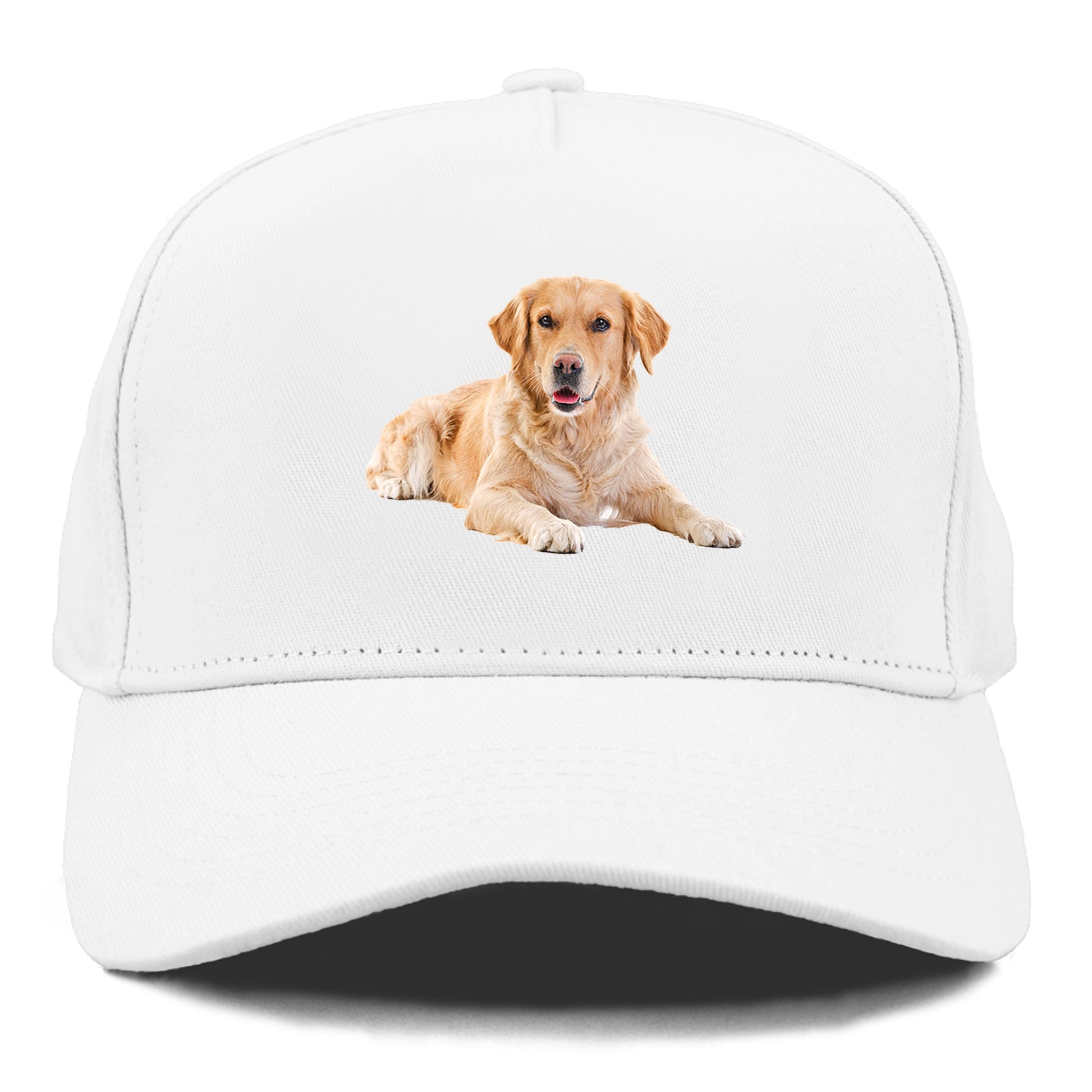 Golden Retriever laying dow Hat