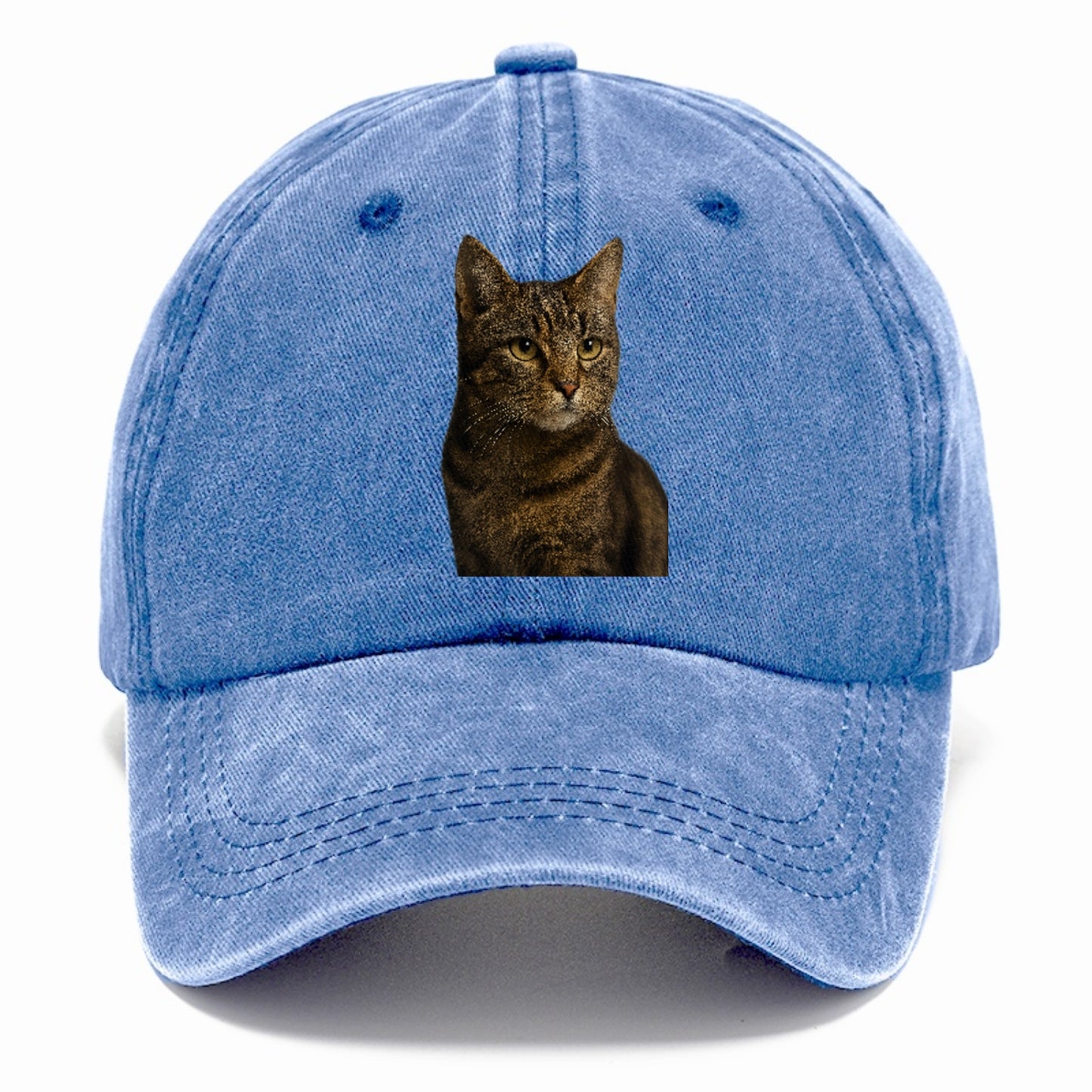 barn-cat-rustic-charm Hat