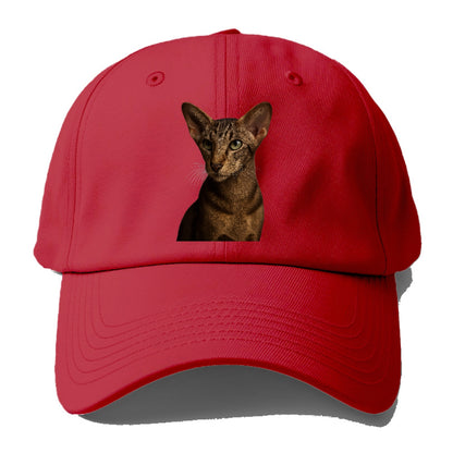 oriental-shorthair-sleek-charm Hat