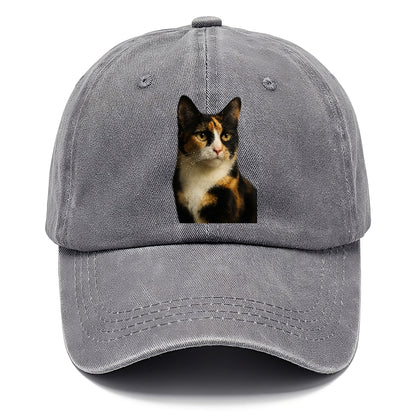 calico-mix-vibrant-spirit Hat