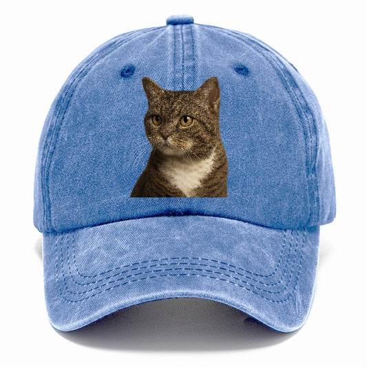 american-wirehair-unique-charm Hat