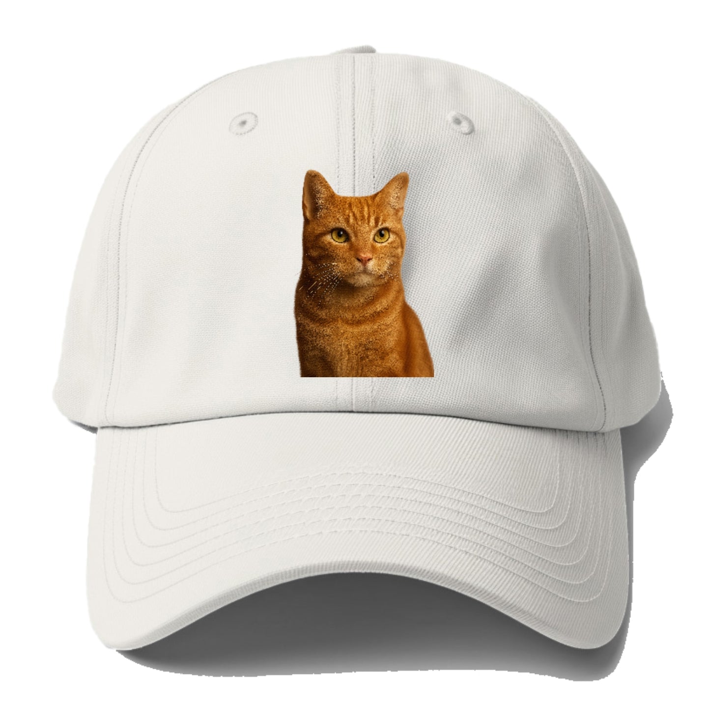 orange-tabby-cozy-companion Hat