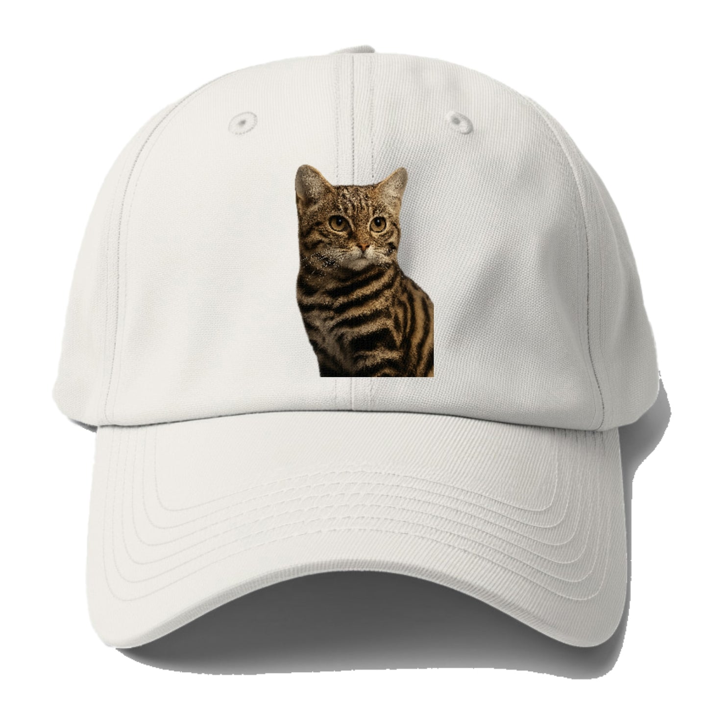 blackfooted-cat-elusive-hunter Hat