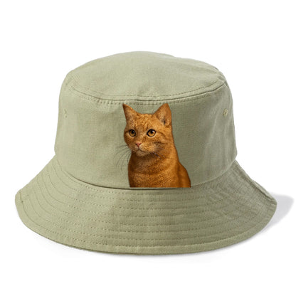 ginger-cat-playful-spirit Hat