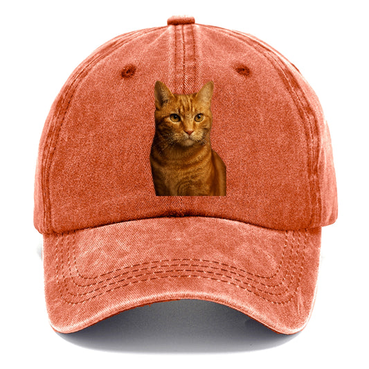 orange-tabby-playful-purr Hat