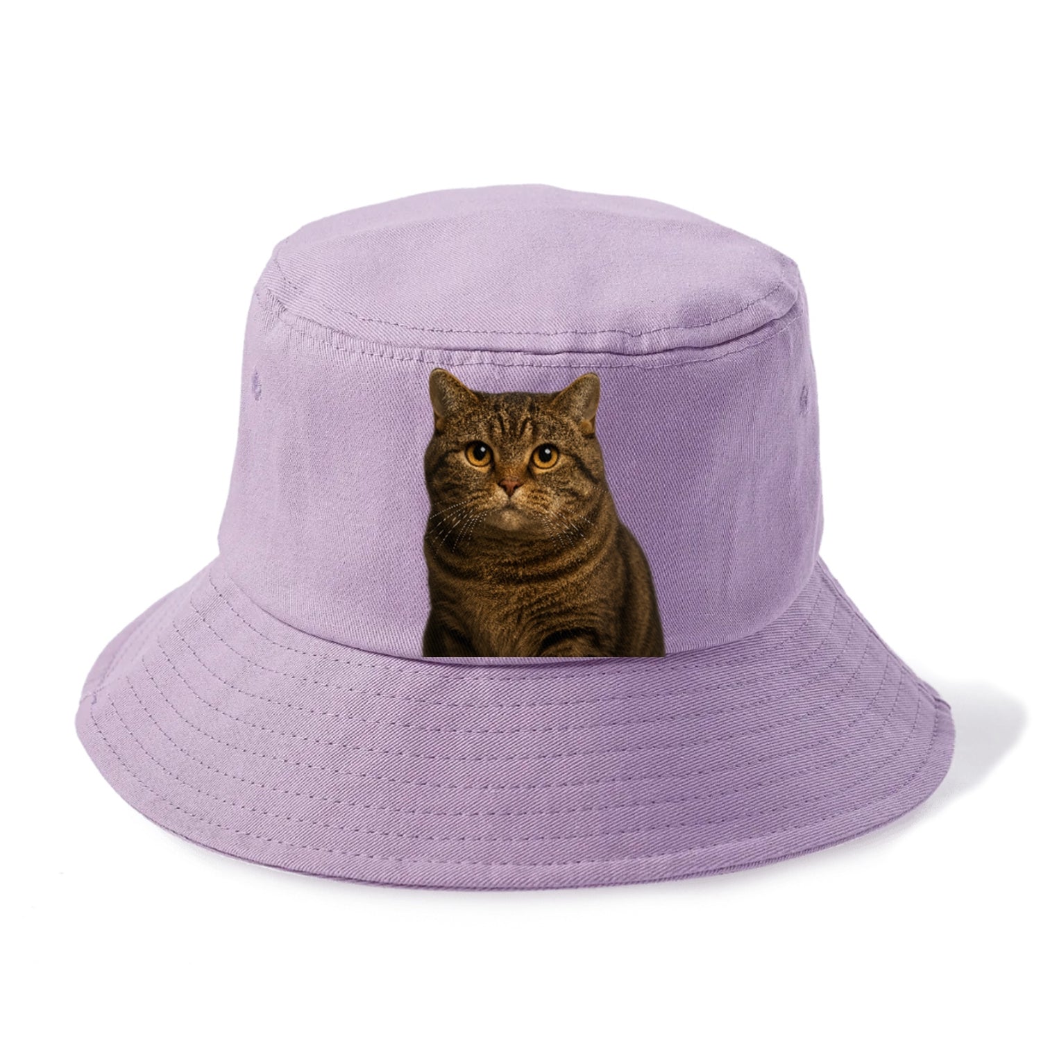 manx-cat-distinct-charm Hat