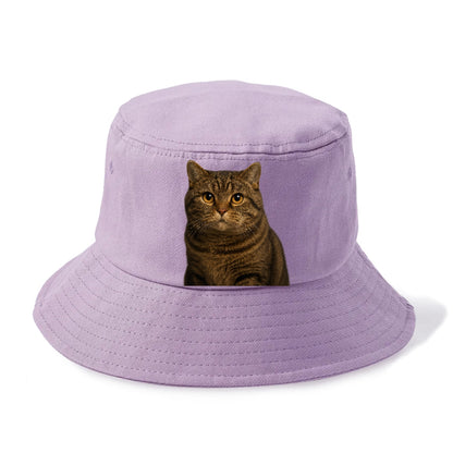 manx-cat-distinct-charm Hat