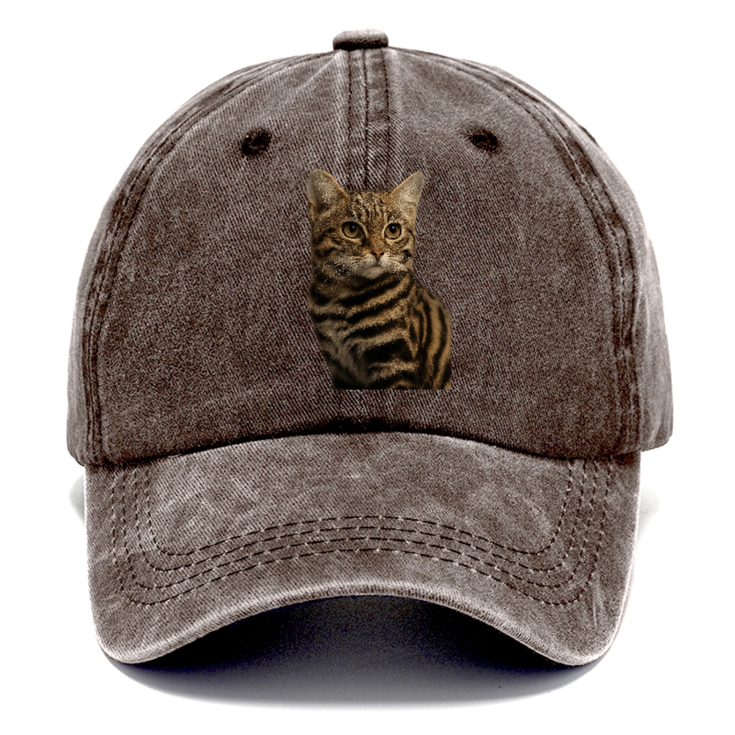 blackfooted-cat-elusive-hunter Hat