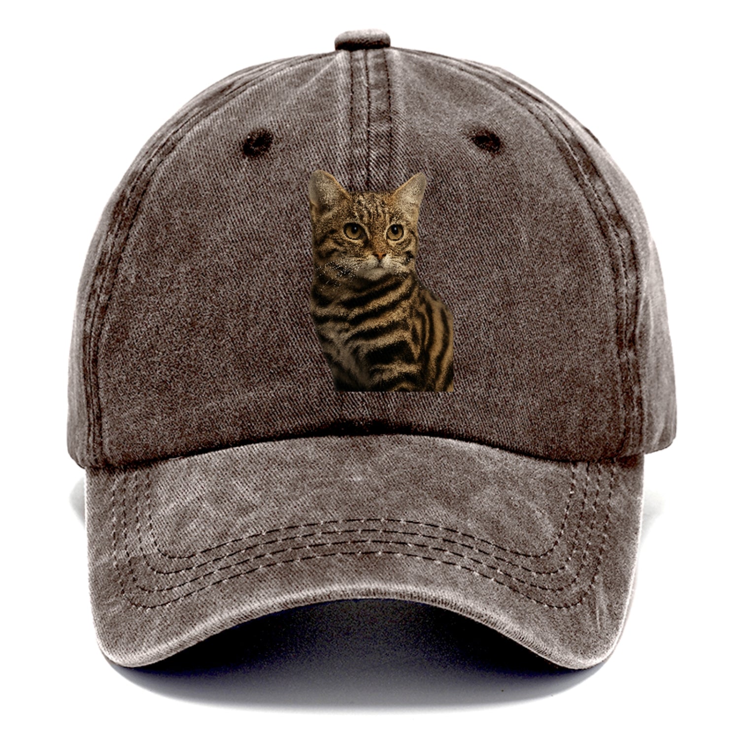 blackfooted-cat-elusive-hunter Hat