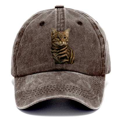 blackfooted-cat-elusive-hunter Hat