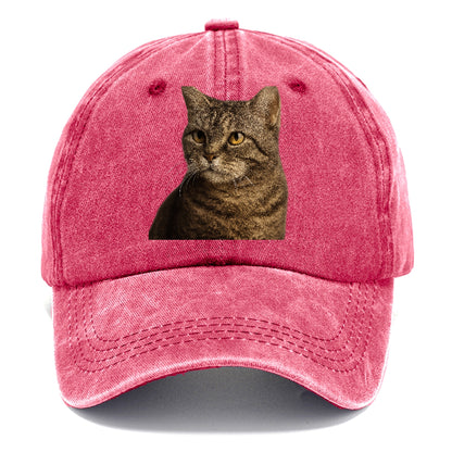 american-wirehair-unique-texture Hat