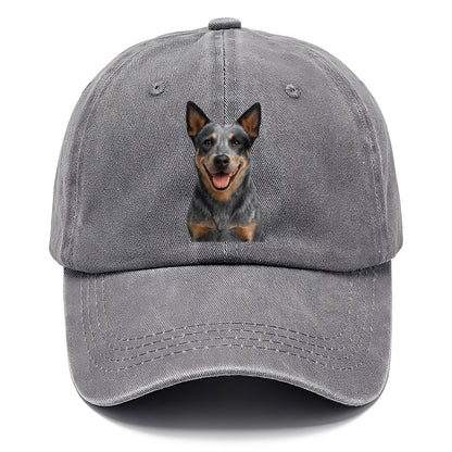 blue heeler agile herder Hat