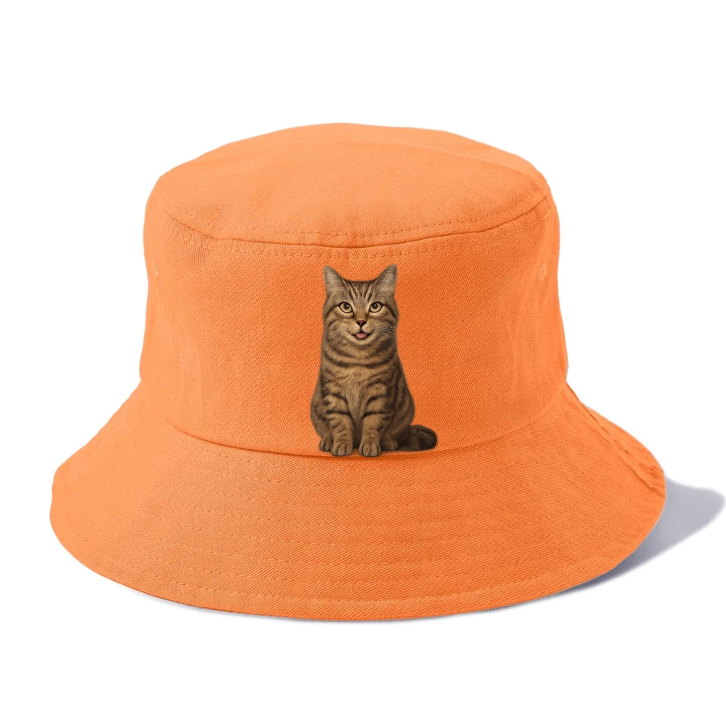 purrfectly peculiar Hat