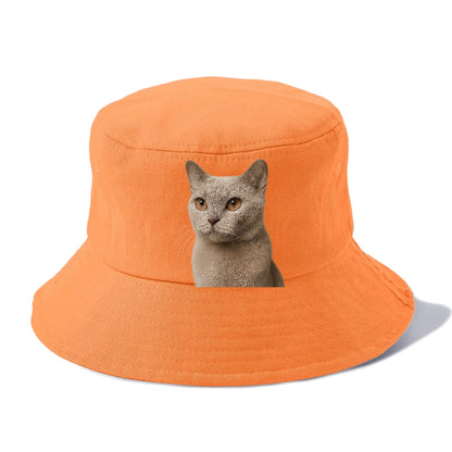 lilac-cat-playful-spirit Hat