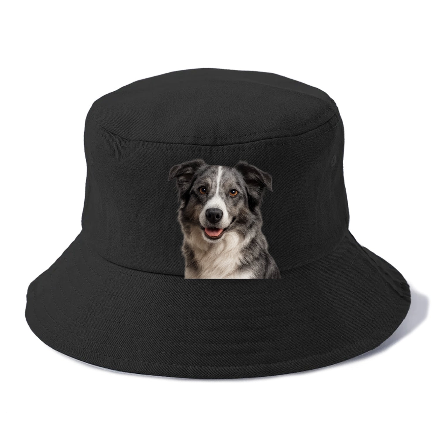 blue merle border collie agile mind Hat