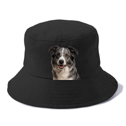 blue merle border collie agile mind Hat