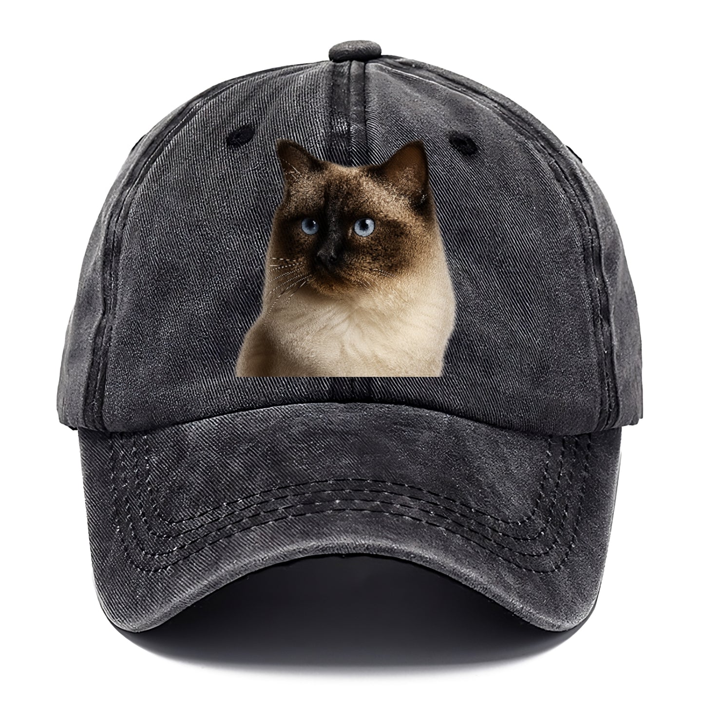 ragdoll-gentle-demeanor Hat