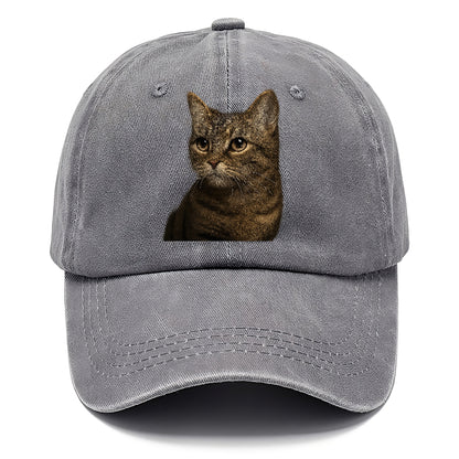 munchkin-cat-charming-spirit Hat