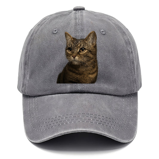 munchkin-cat-charming-spirit Hat