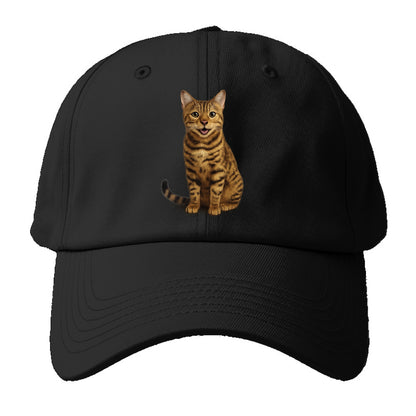 whiskered wonders Hat